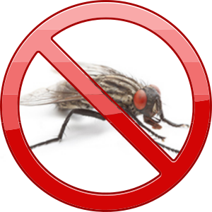 Panneau stop petite mouche domestique